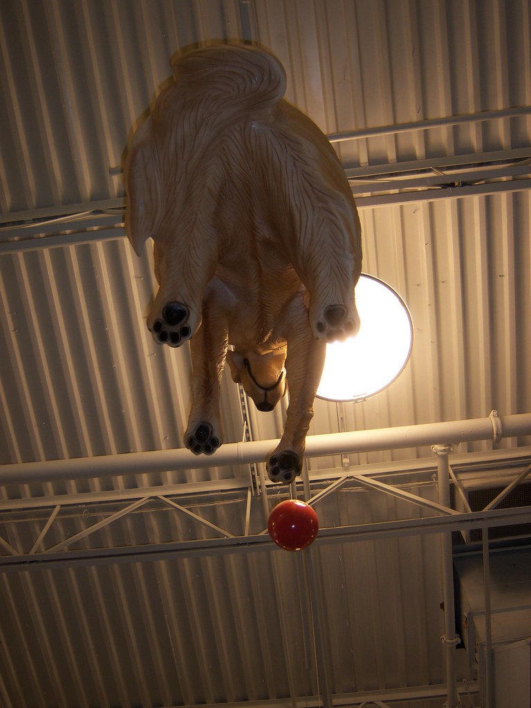 PetSmart is so fun The undercarriage of the big "dog" sign… Flickr