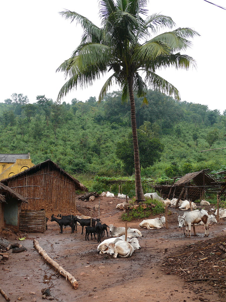 Bhubaneswar Taptapani Met minibus 220 km onderweg naar T… Flickr