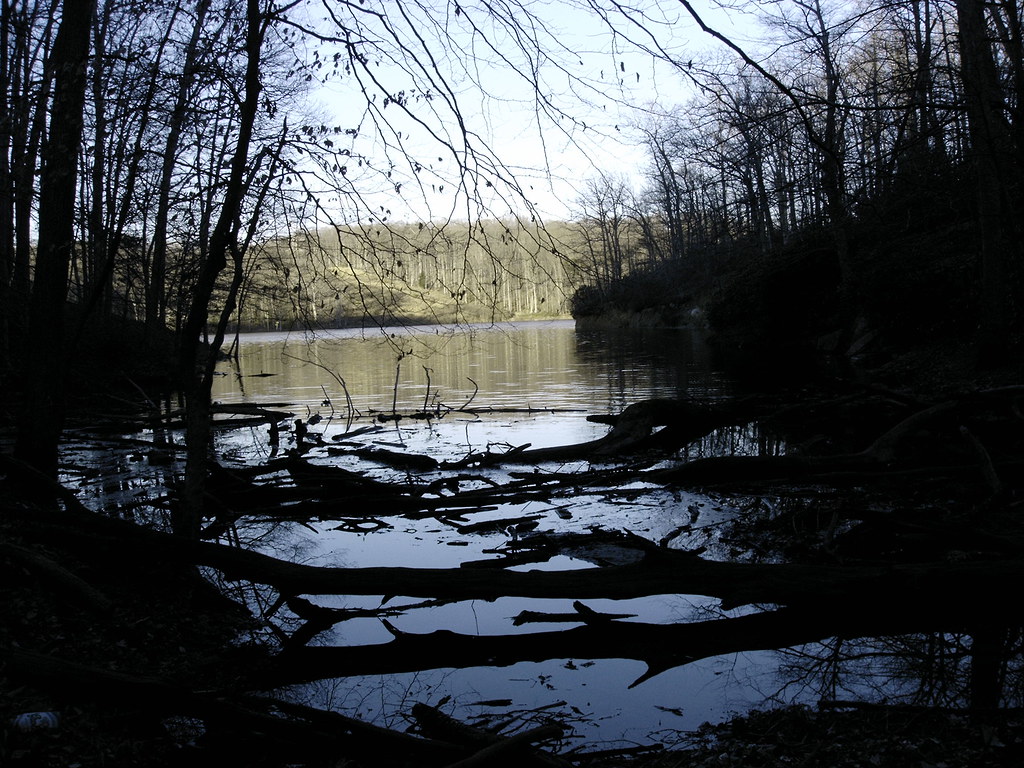Occoquan River Shot of the Occoquan River north of the res… Vicky