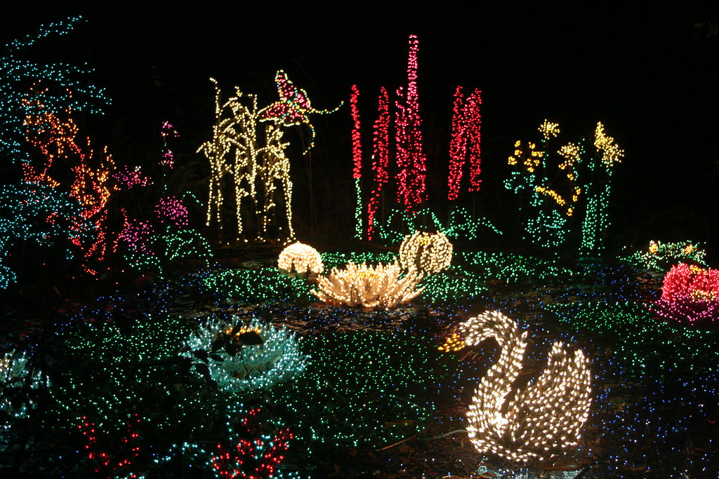 Bellevue Botanical Garden Christmas festival of lights. De… Flickr
