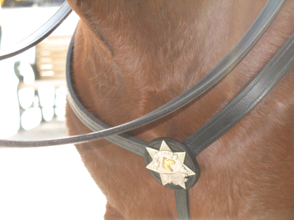 San Jose police horse badge They have their own badges. Flickr