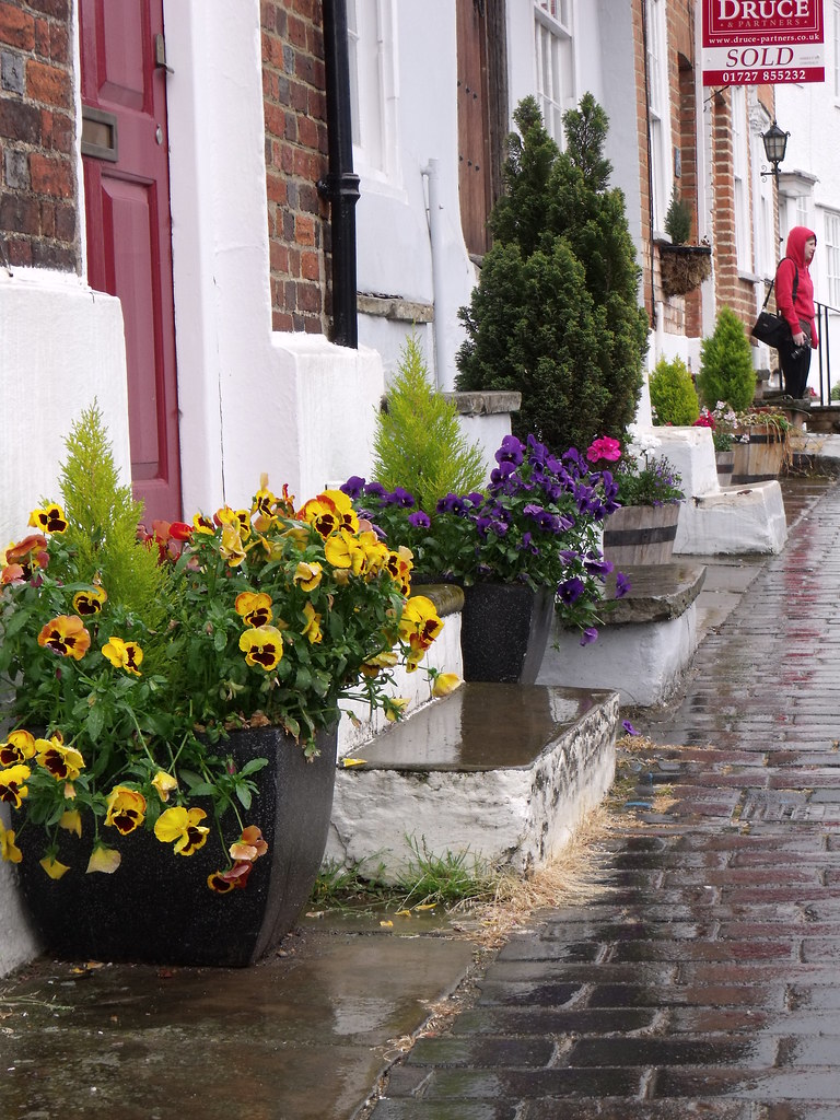 a street in st albans a street in st albans with flowers Flickr