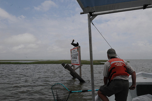 Fish and Wildlife Service Gulf Response at Bon Secour NWR