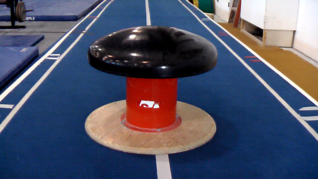 CGC Calgary Gymnastics Centre 2010 pommel Mushroom. Rick