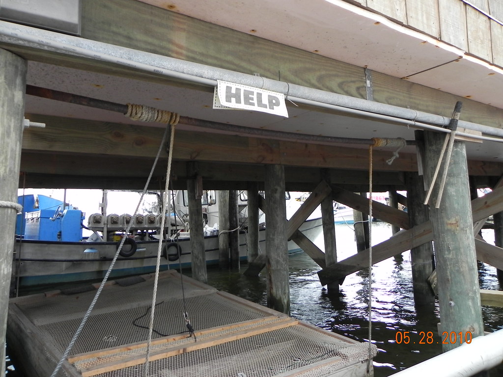 28 May 2010 Dean Blanchard Seafood Grand Isle, Louisiana P… Flickr