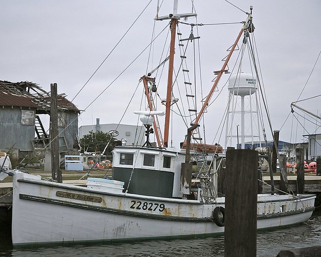THE OLD PILGRIM OF WANCHESE HARBOR MANTEO ISLAND NC WANCH… Flickr