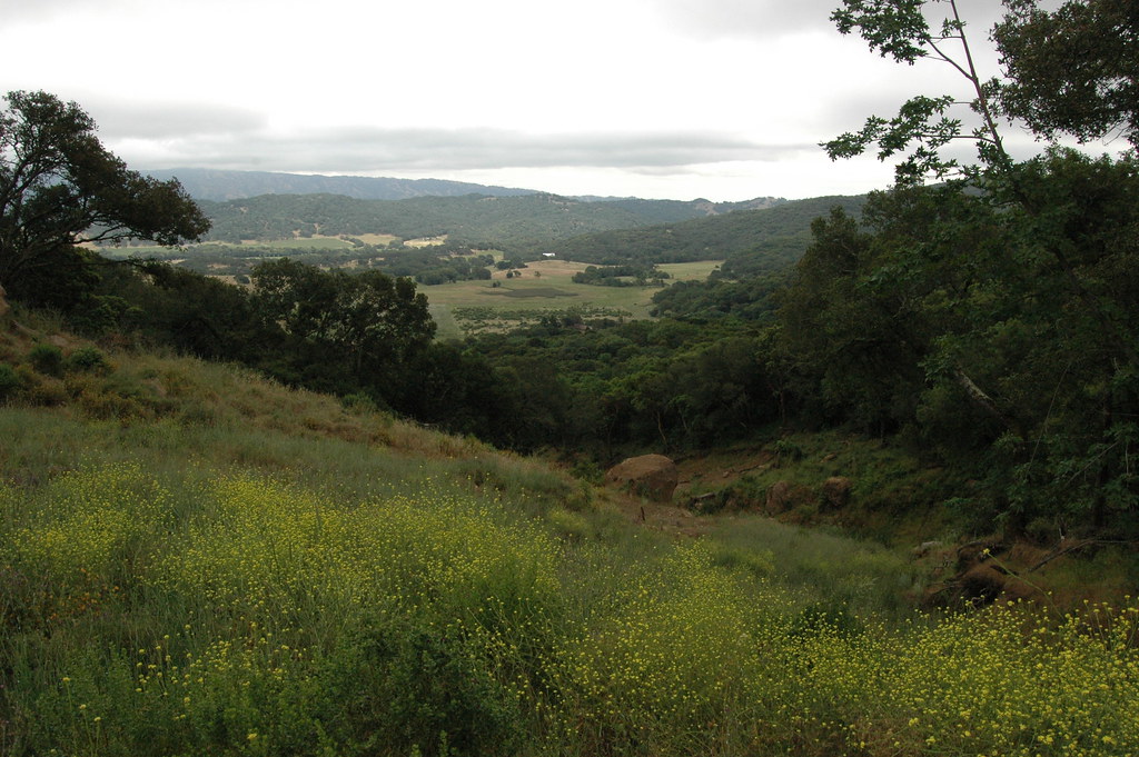 Wooden Valley Byron Clark Flickr