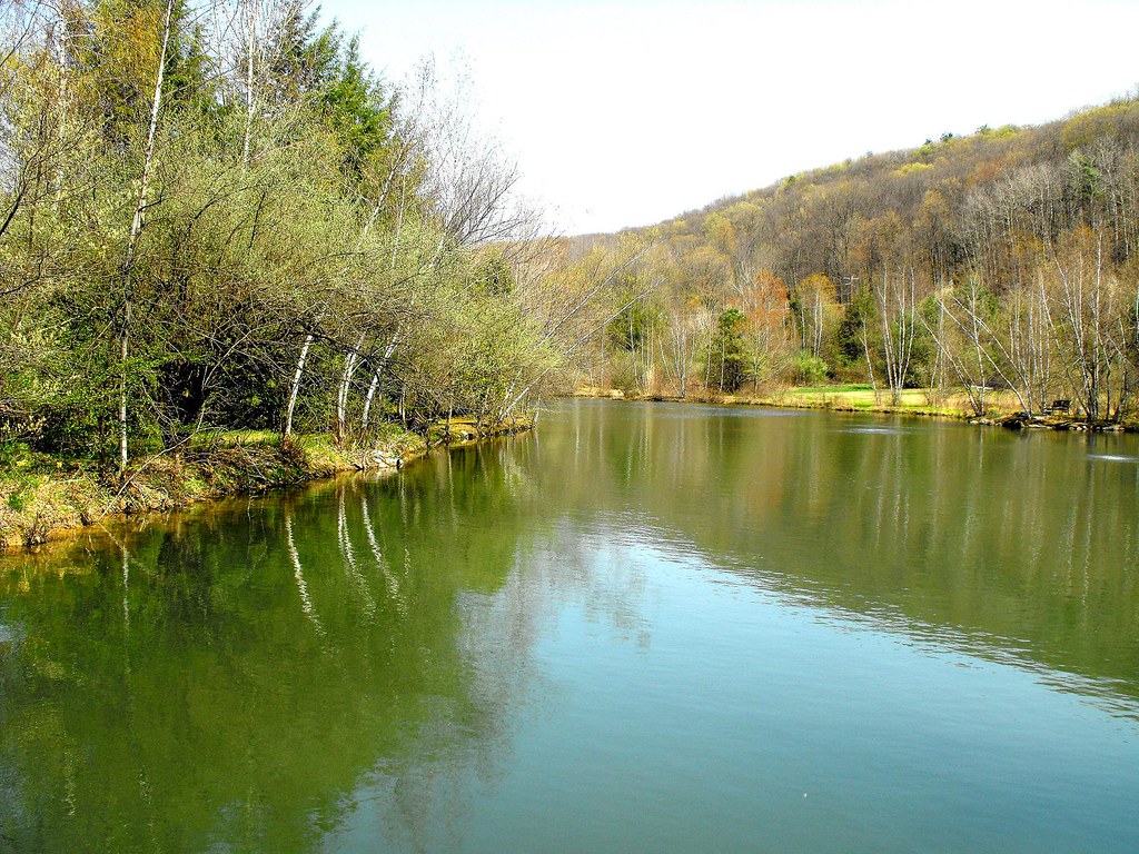 Stonehedge Gardens near Tamaqua, Pennsylvania 041110 Peachhead