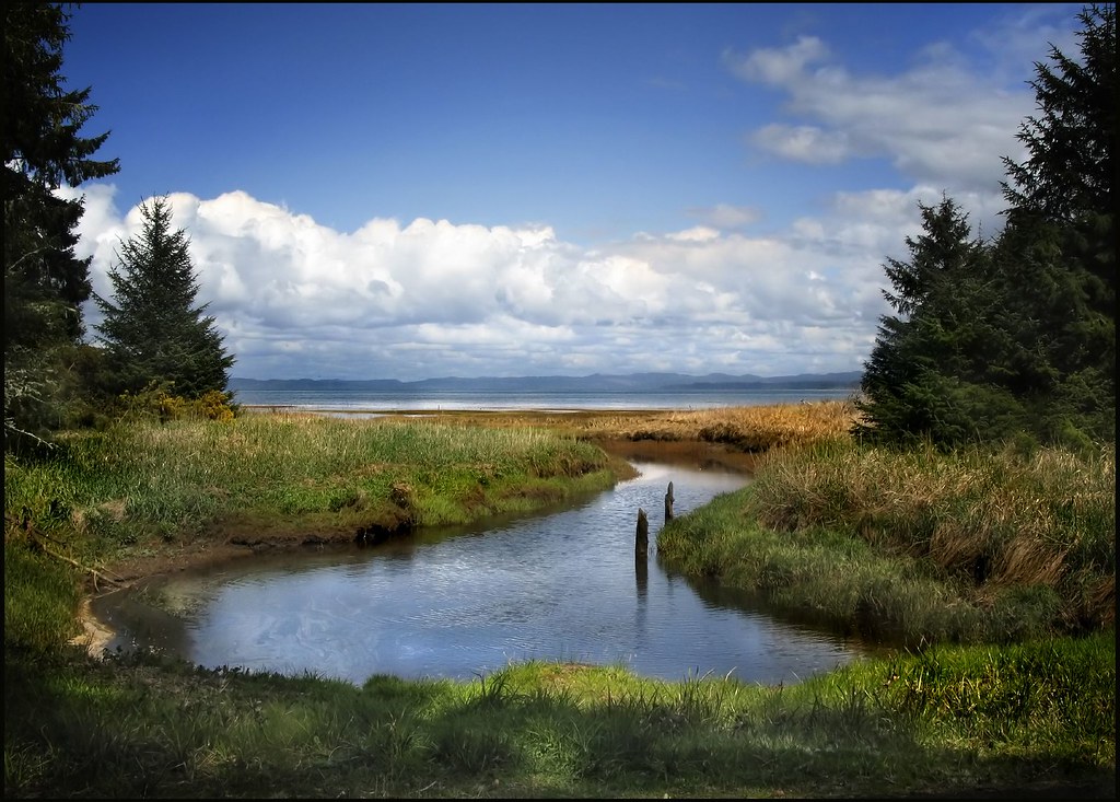 oysterville inlet Oysterville, Washington on the Long Beac… Flickr