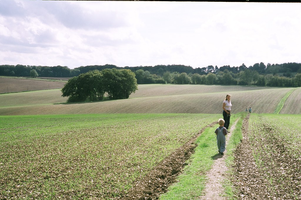 Penn Wood walk mmj Flickr
