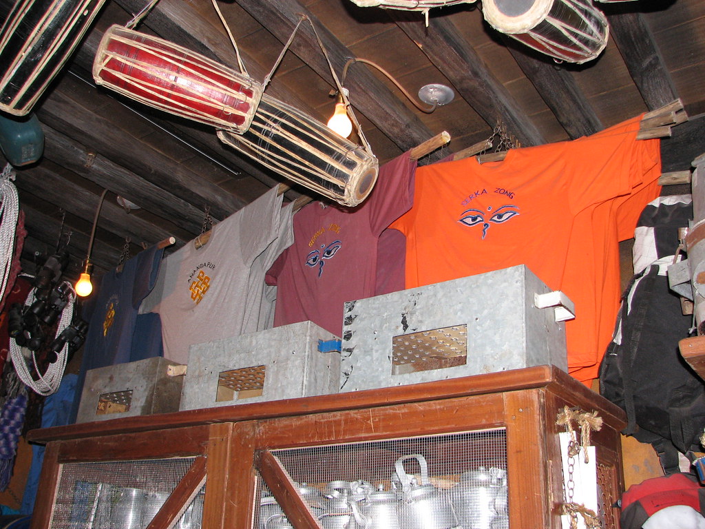 In queue of Expedition Everest Why don't they actually sel… Flickr