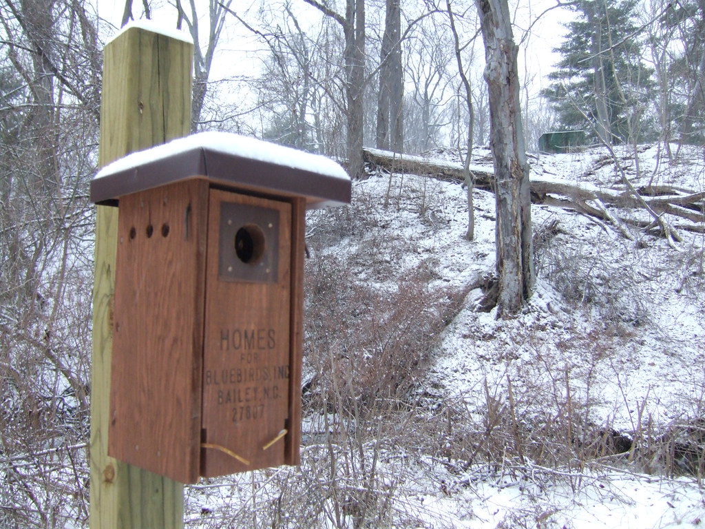 bluebird home Inscription "Homes for Bluebirds, Inc. Bail… Flickr