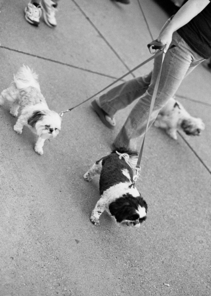 Saturday Night CruiseIn Hastings, MN Krista Kennedy Flickr