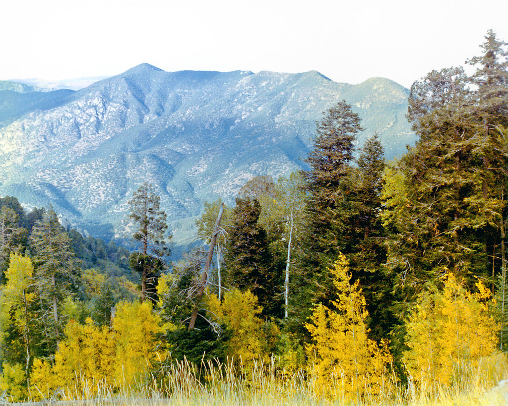 View from Mt Lemmon Ski Resort, Arizona a photo on Flickriver