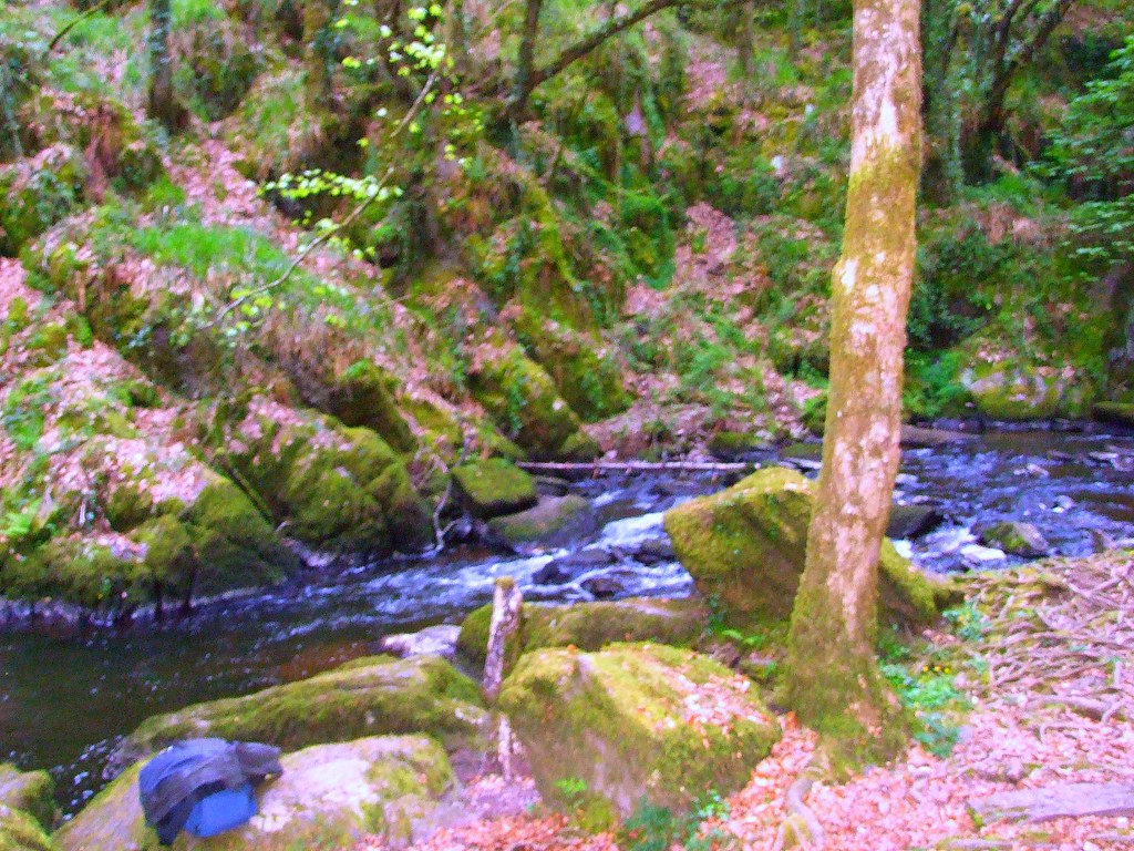 ballincollig Camera Club Photo by Mary Casey Mullinahassig… Flickr