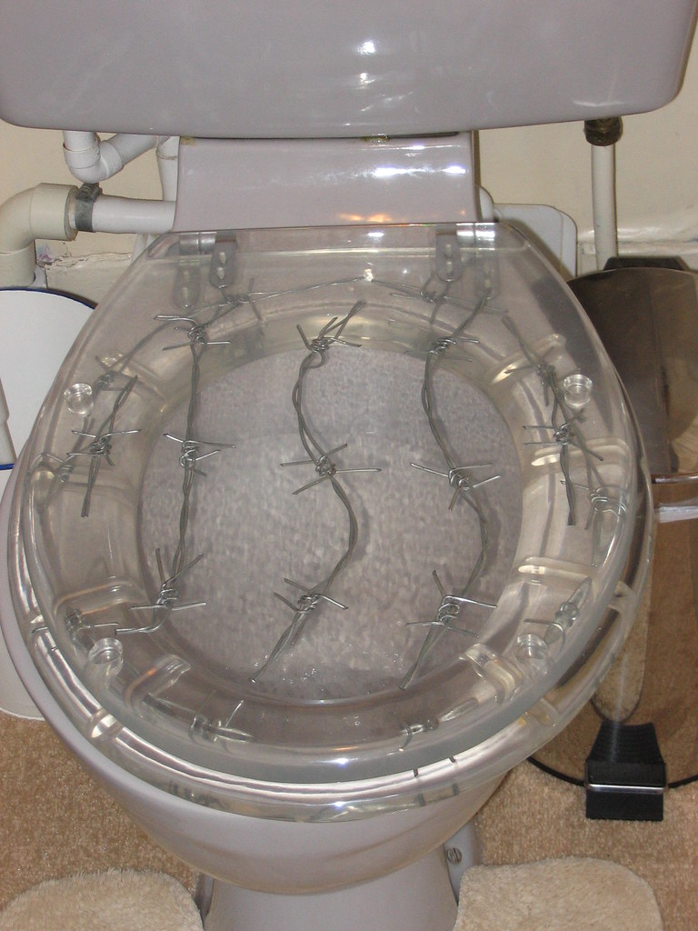 Barbed Wire Toilet Seat Our room was decorated in "Farm Ch… Flickr