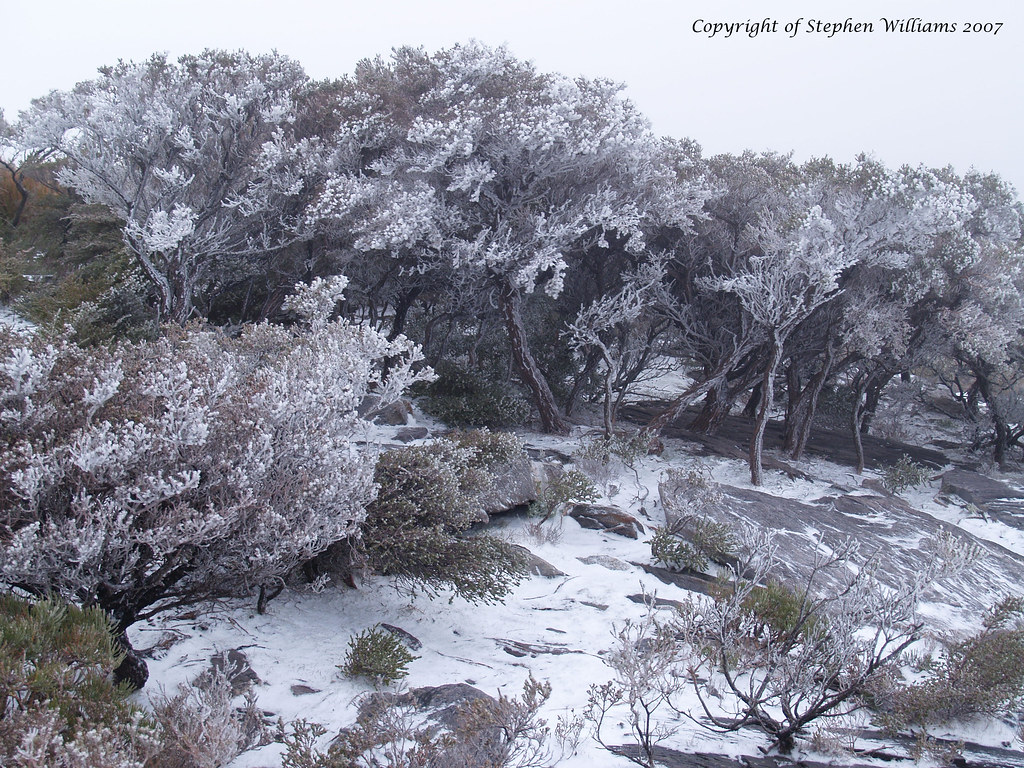Bluff Knoll snow.jpg Snow in WA. Bluff Knoll Stirling Rang… Flickr