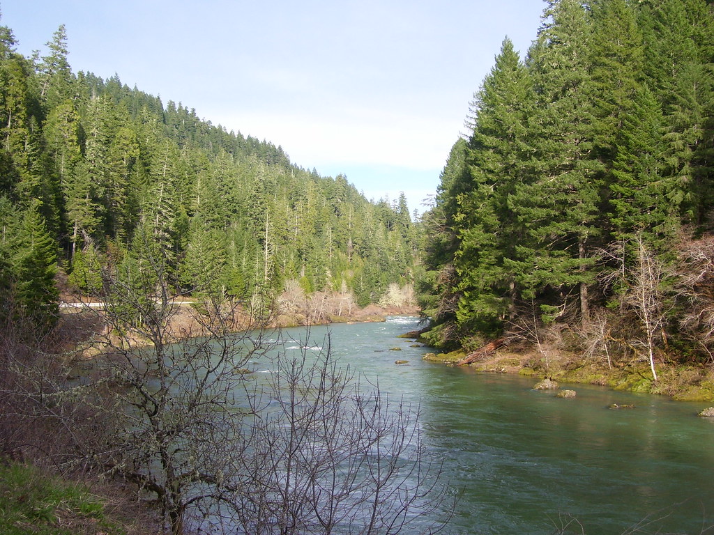 North Umpqua River N. Umpqua River, Idleyld Park, Oregon Phalkin5