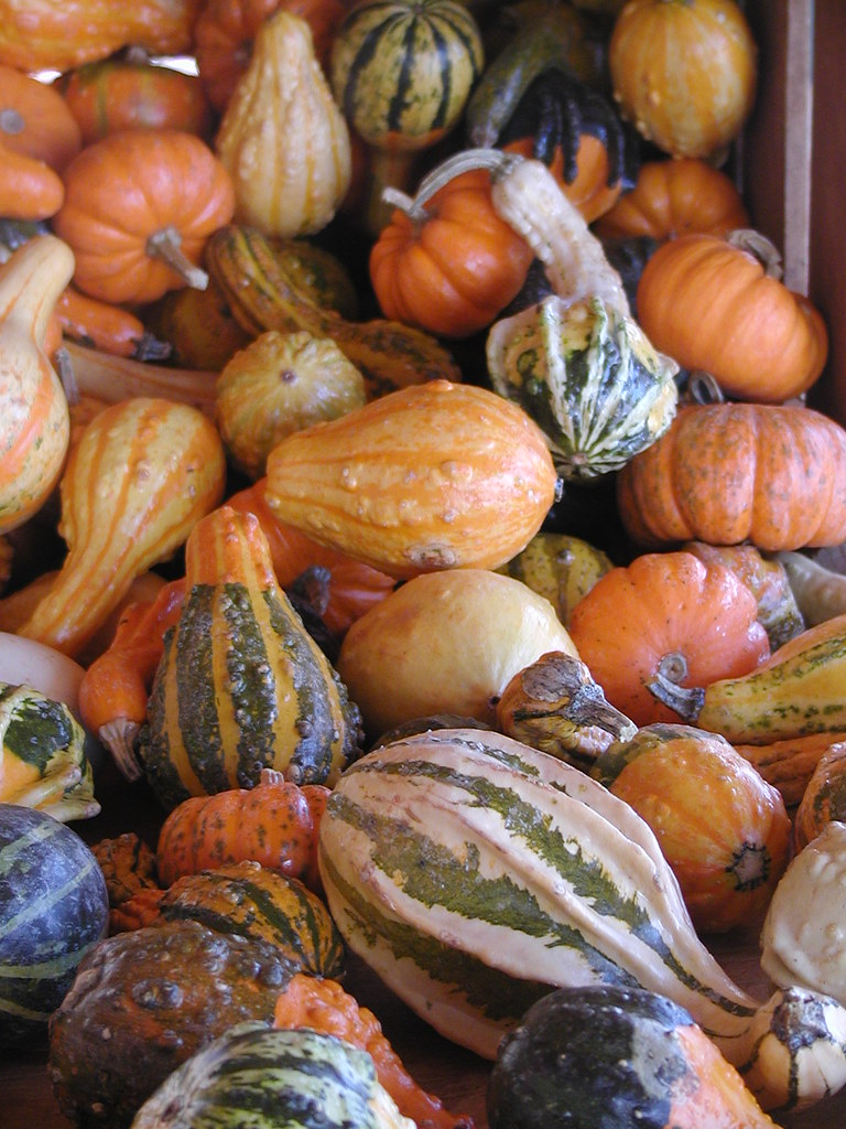 Mansion House Farm Mansion House Farm Bear, DE CWaltonDDA Flickr