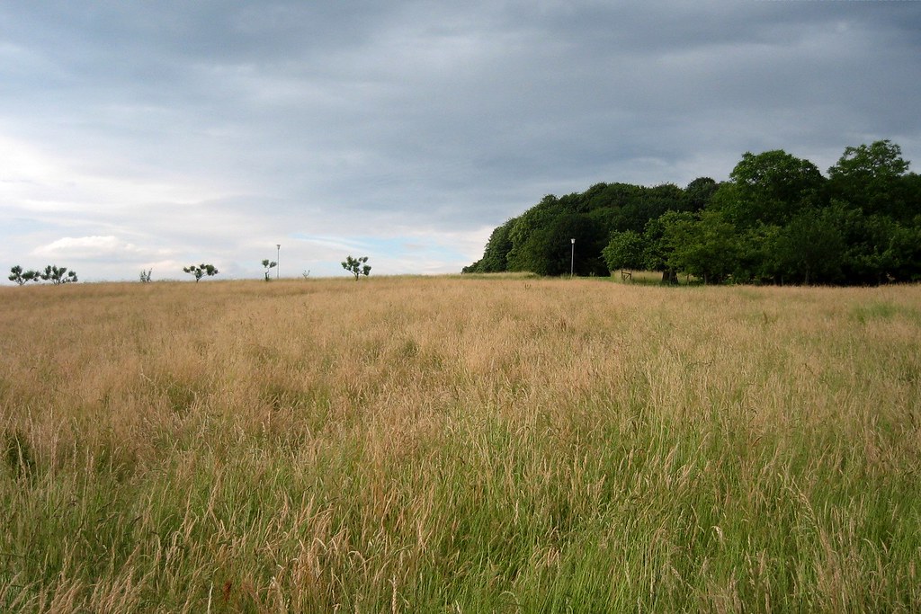 Field impression I Till Westermayer Flickr