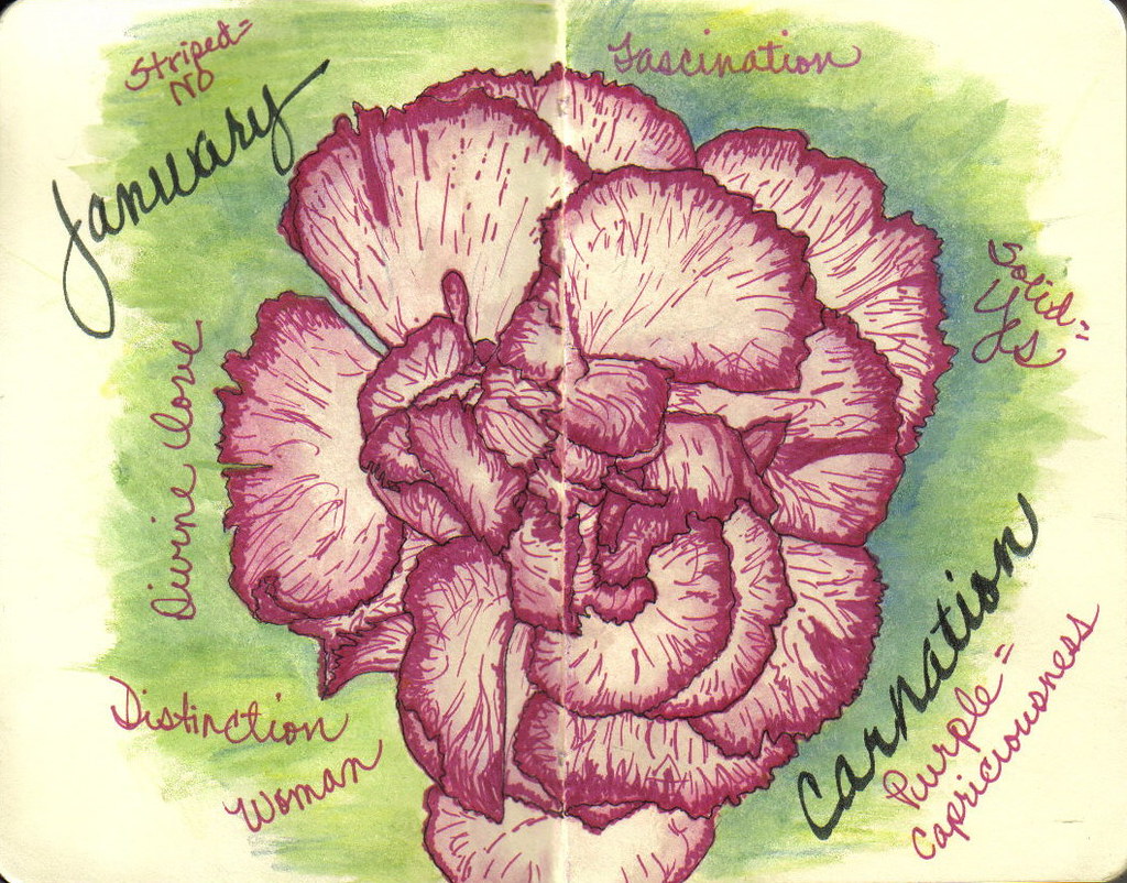 January My first birth month flower drawing. I'm going to … Flickr