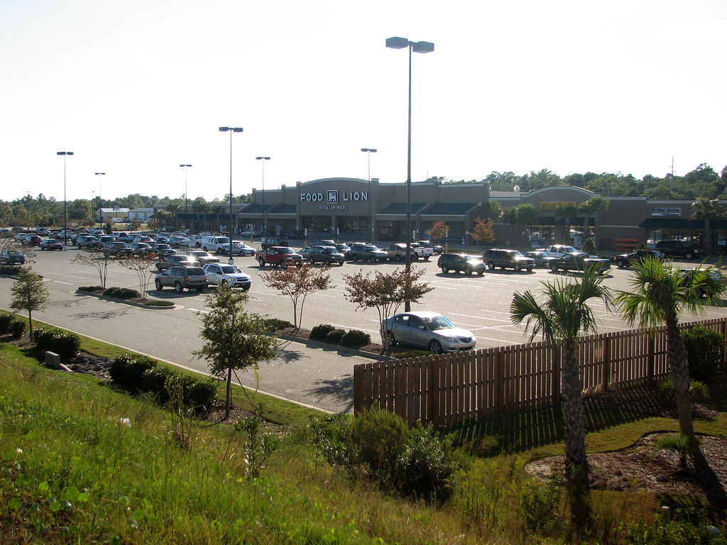 Food Lion Extra Low Prices After driving over the huge br… Flickr