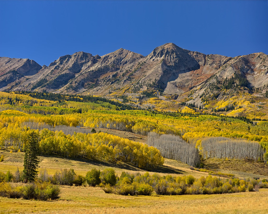 Elevation of Lost Lake CampgroundPaonia RD, Paonia, CO, USA