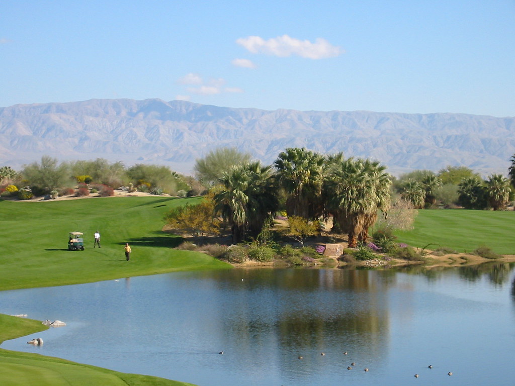 Palm Desert Desert Willows Dave Fox Flickr