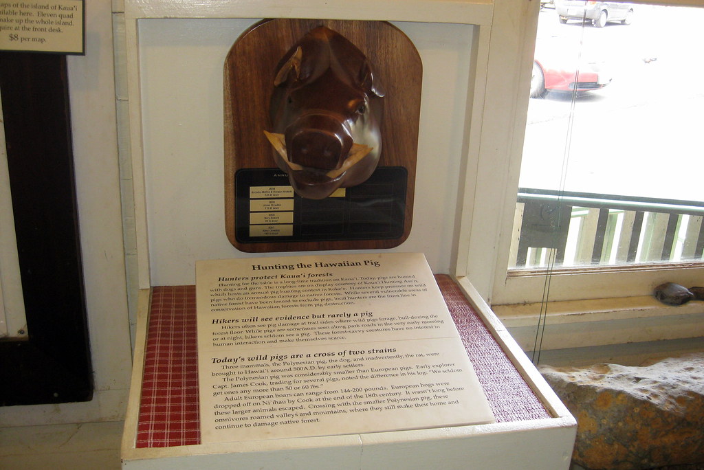 Kaua'i Koke’e State Park Koke’e Natural History Museum Hunting the