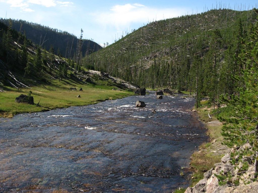 Gibbon River, Yellowstone National Park, Wyoming The Gibbo… Flickr