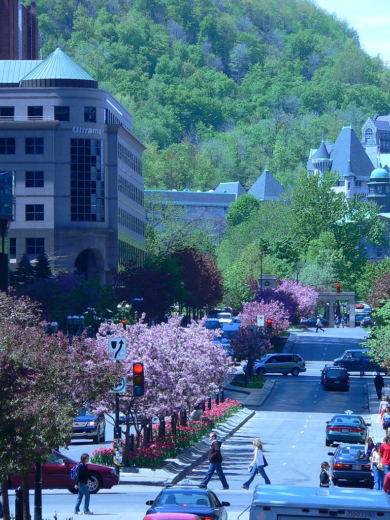Mount Royal in the Distance It was a day in Montr… Flickr