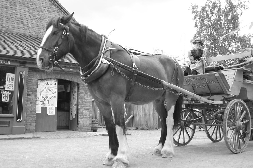 Cart and Horse Pic I took at Blist's Hill Victorian Museum… Flickr