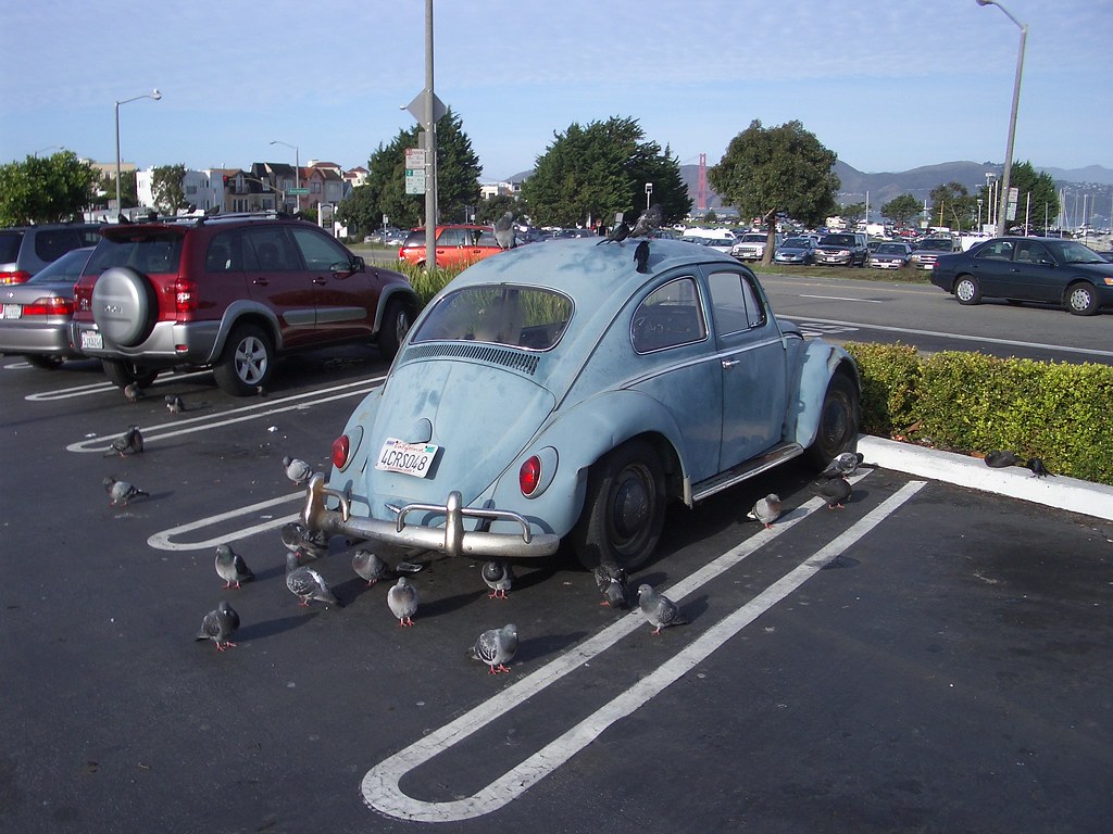 Pigeon car This battered VW beetle looked like a permanent… Flickr