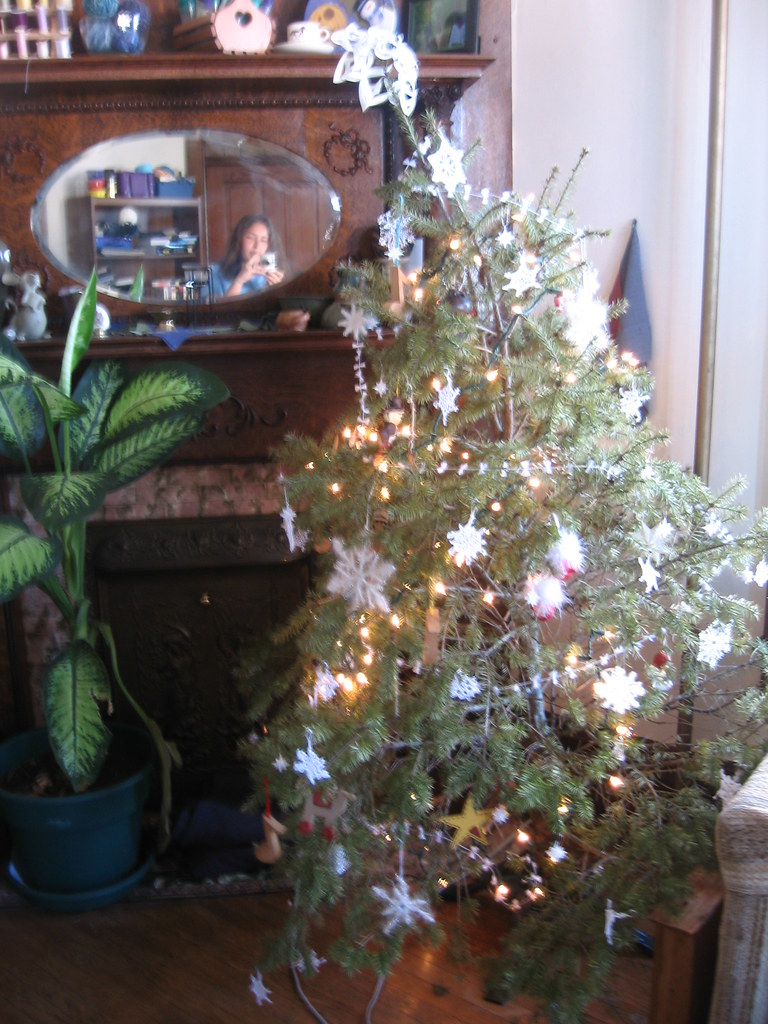 lopsided christmas tree harmony wilson Flickr