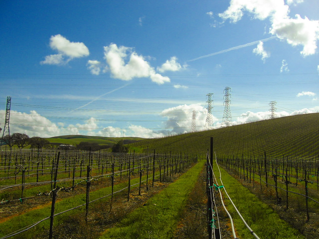 wine weather livermore, california patrick boury Flickr