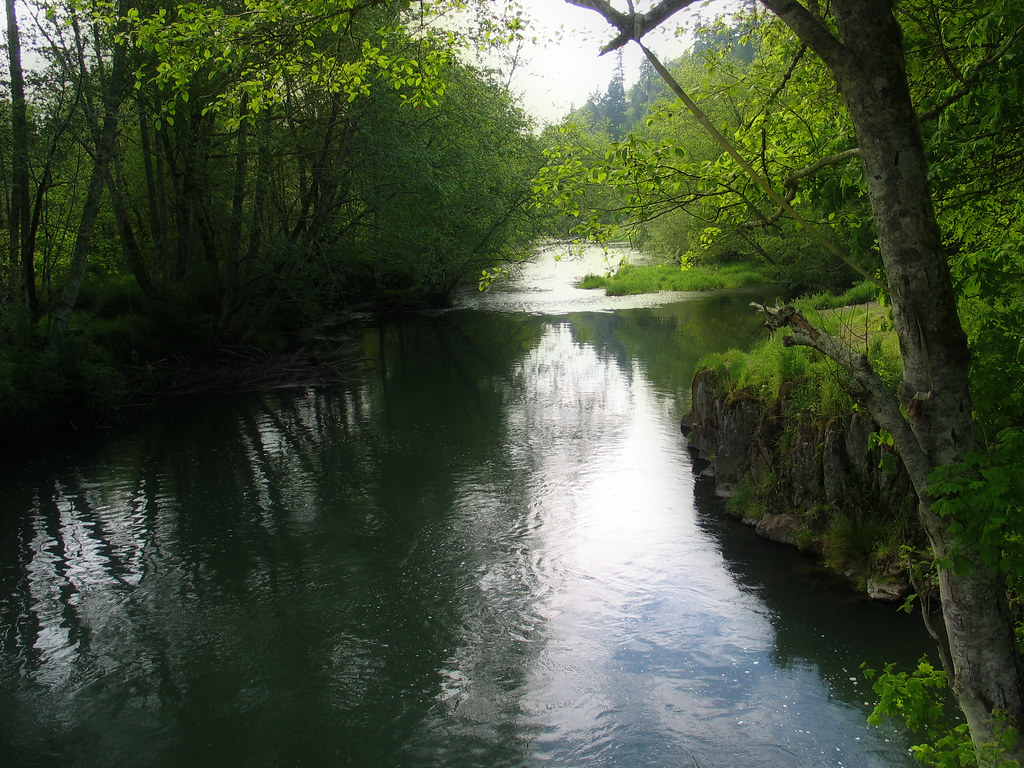 Skookumchuck River Skookumchuck Wildlife Habitat Managemen… Flickr