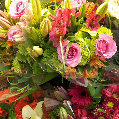 Kroger flowers David Norbery Flickr