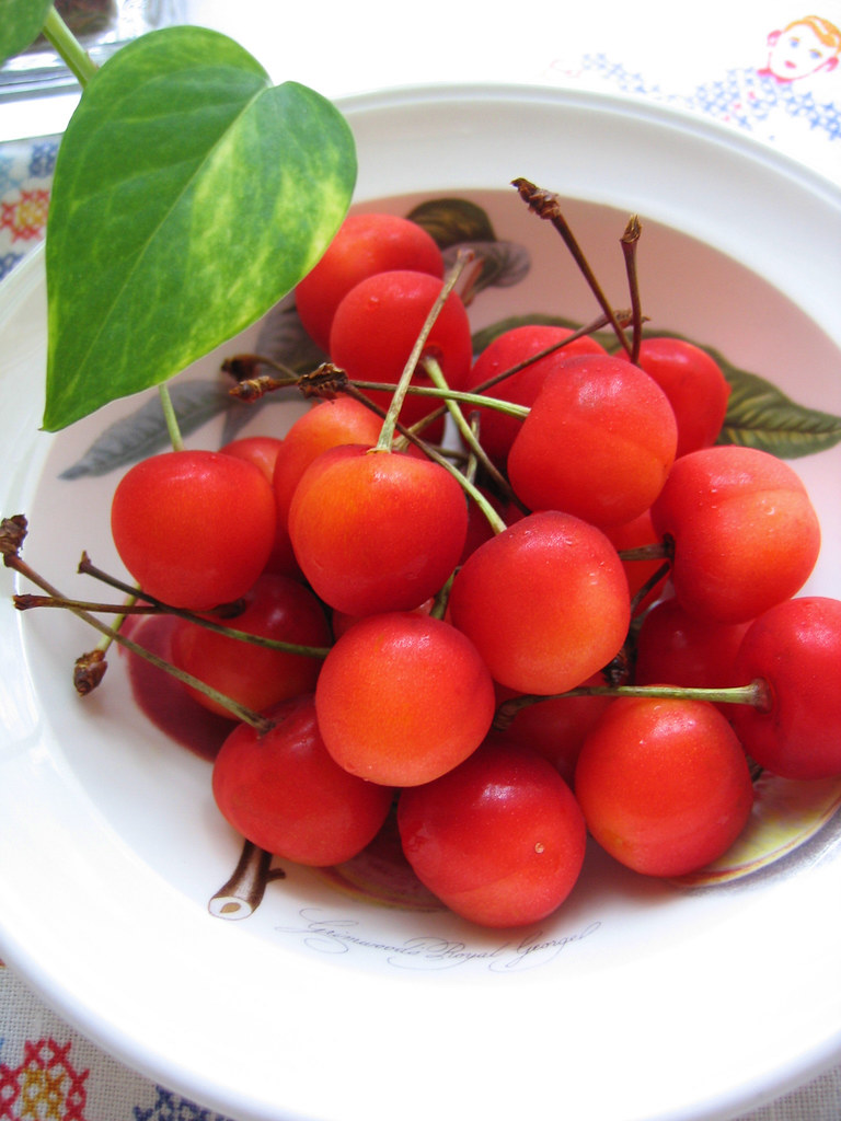 sakuranbo Japanese cherries from Yamagata. aloalo* Flickr