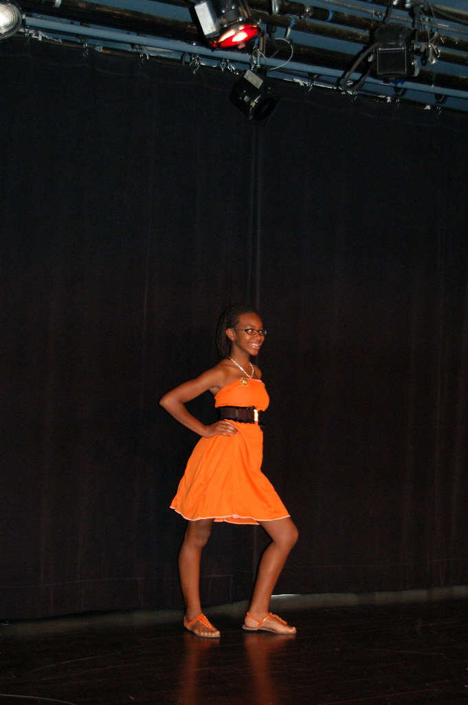 DSC_0358 Sitar Arts Center Flickr