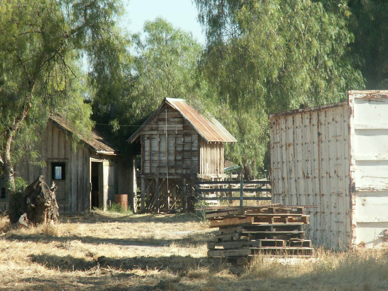 Hemet Stock Farm Flickr