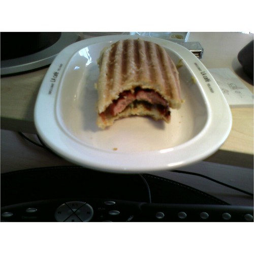 Panini Hot Dog When you get a new toy (Wolfgang Puck Panin… Flickr