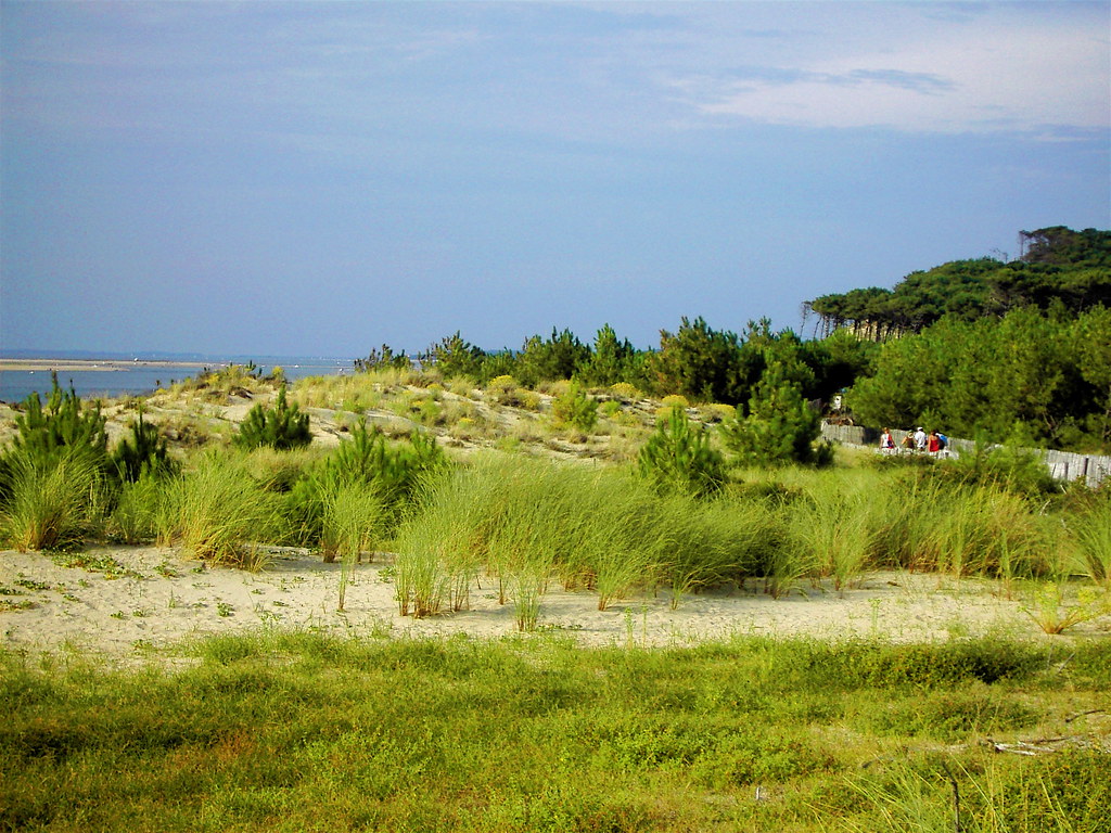 Plage du Petit Nice Petit Nice Beach French Atlantic Coas… Flickr