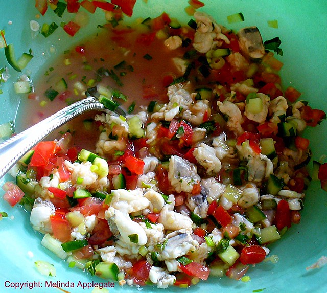 Delicious Mexican Shrimp Ceviche Salsa a photo on Flickriver