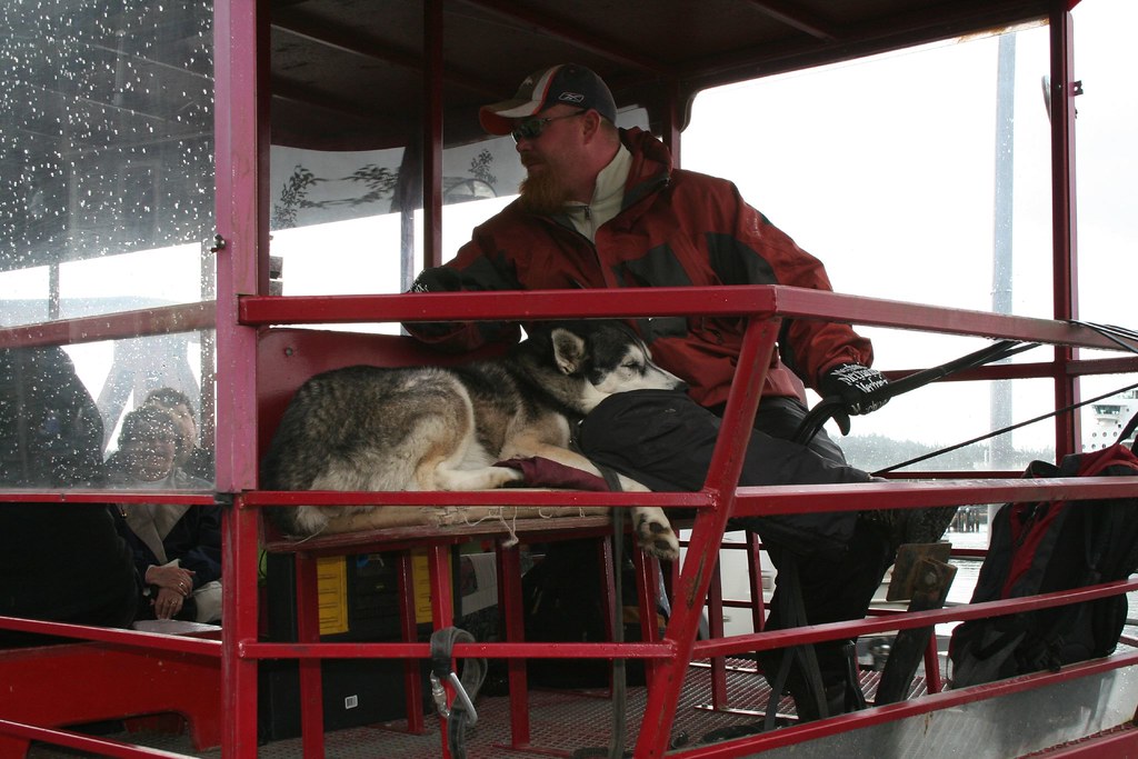 Ketchikan, Alaska Cute dog K&A Peterik Flickr