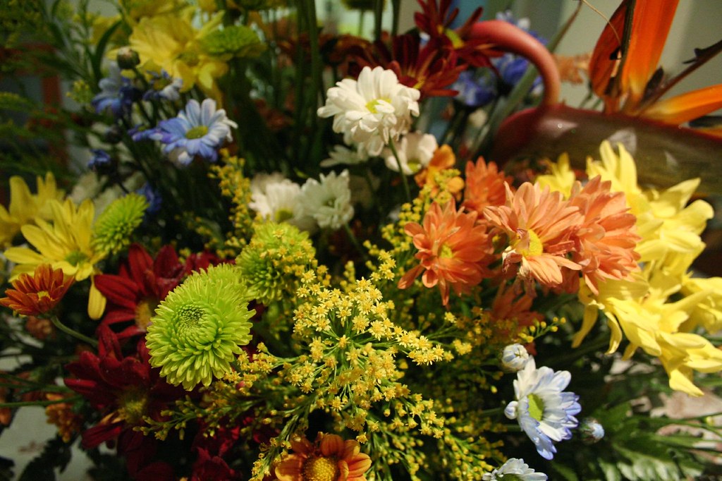 quinta flower (buquet) Daniella Lioni Flickr