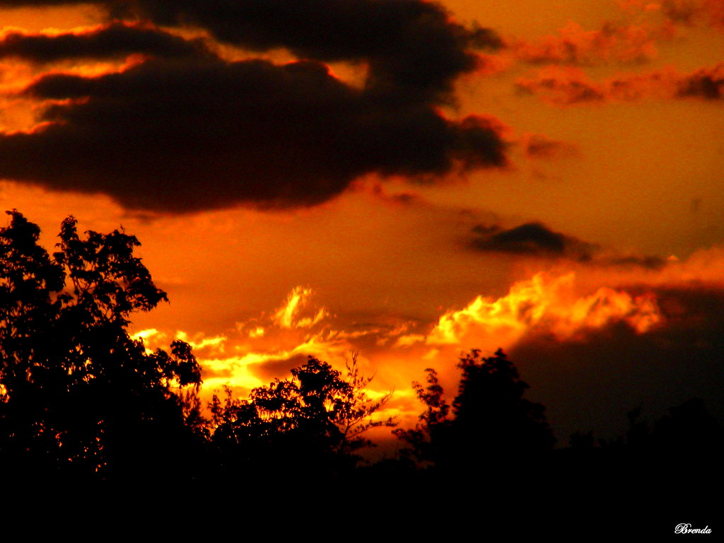 Morning After The Rain After the rain, we had this Flickr