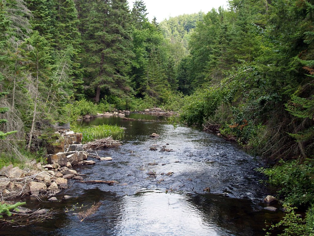 Madawaska River Chris Walsh Flickr