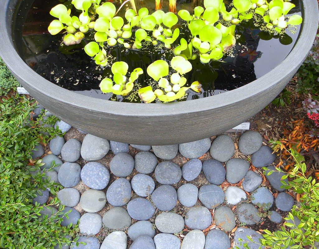 Zen bowl garden One of my favorite places in Provincetown … Flickr