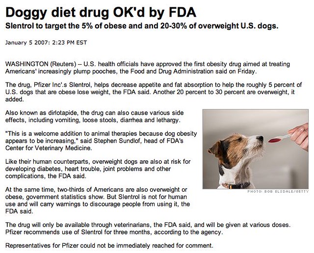 Different types of diets for sick dogs! Animal Media Foundation