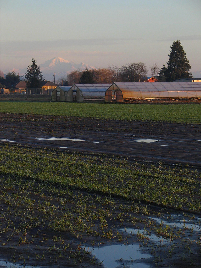 Mount Baker and Delta Farms 2007 The Fraser River Delta an… Flickr